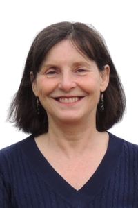 Profile image for Councillor Anne Hook